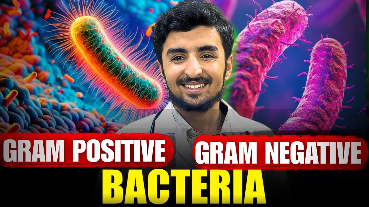 Bacteria class 11| Gram Positive vs Negative( MDCAT short tricks)🔥
