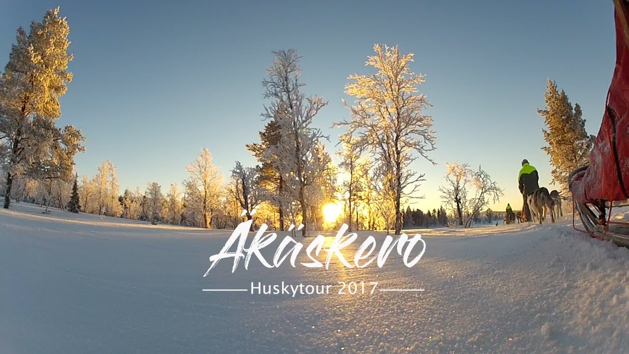 Huskytour Finland - Äkäskero