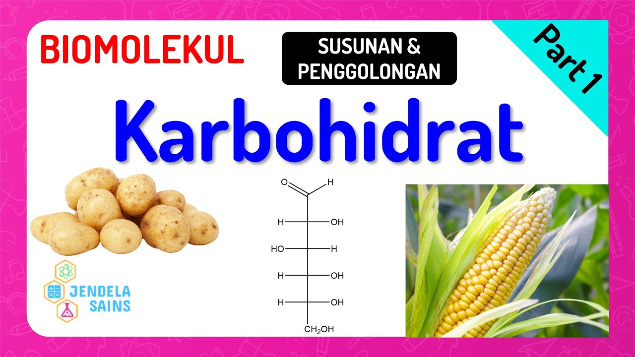 Biomolekul • Part 1: Susunan dan Penggolongan Karbohidrat