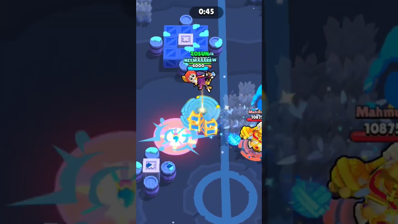 Bug 