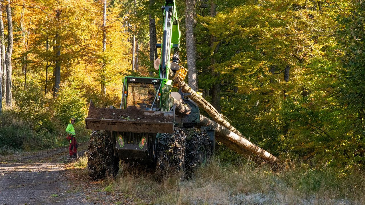 Demonstration of timber harvesting using the EQUUS 175N UN forest tractor