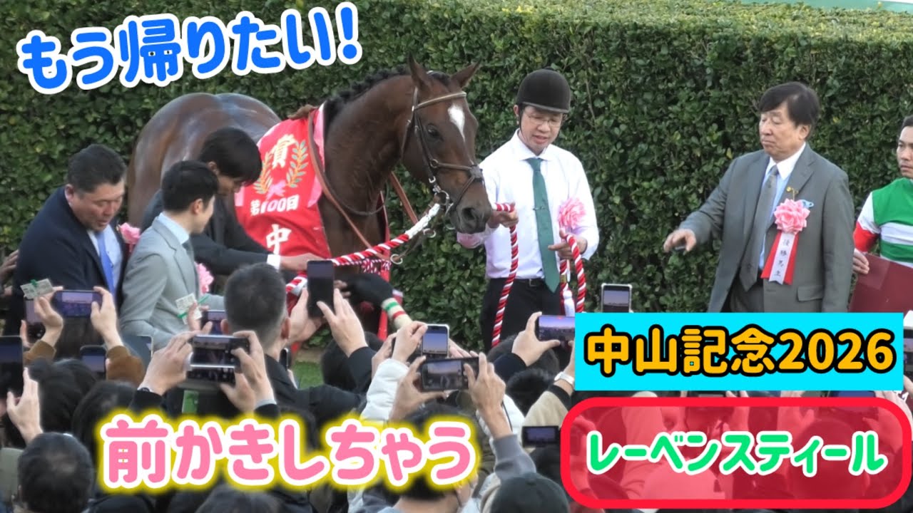 【中山記念2026】早く帰りたくて前かきしちゃうけどちゃんと口取りをこなすレーベンスティール