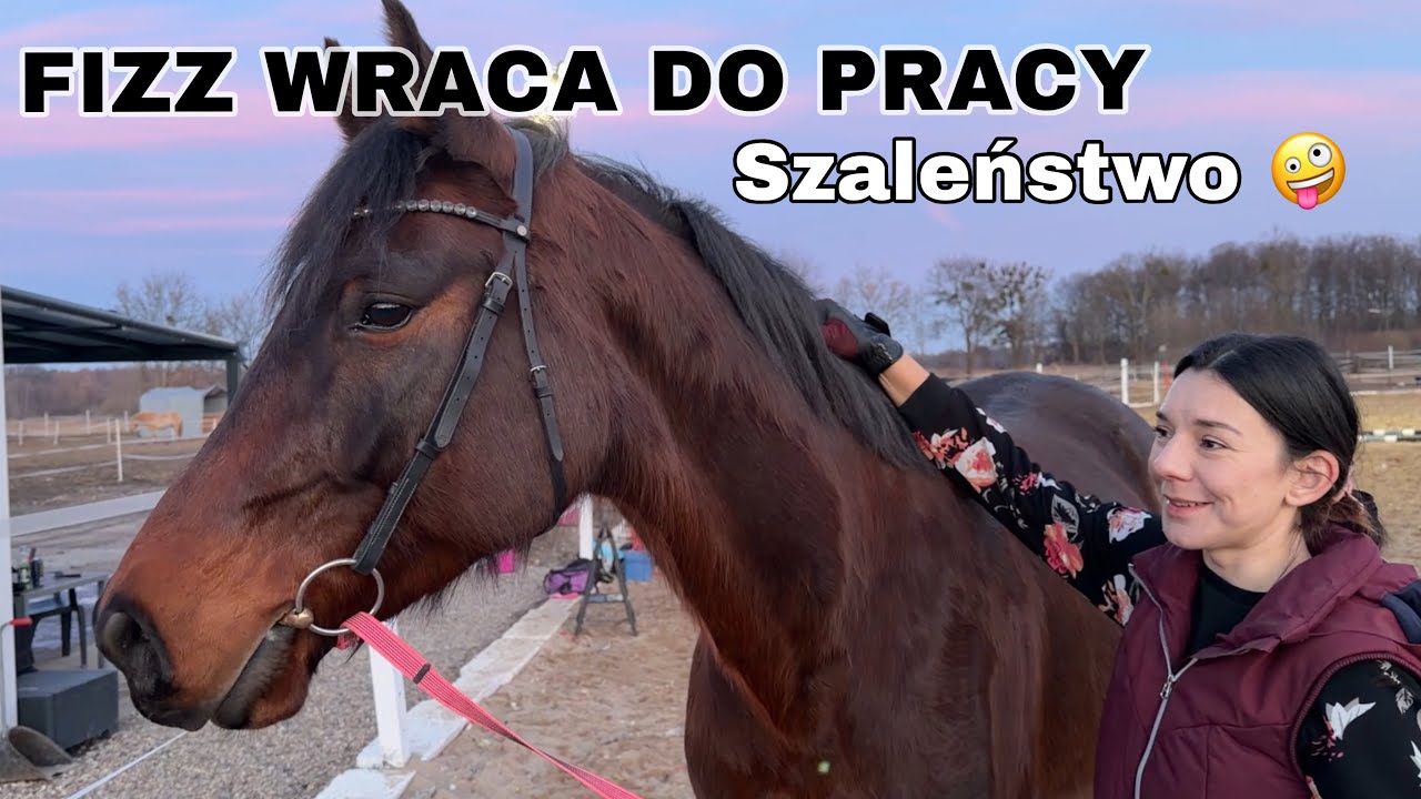 Nowy, TROCHĘ szalony początek 😂🙈 