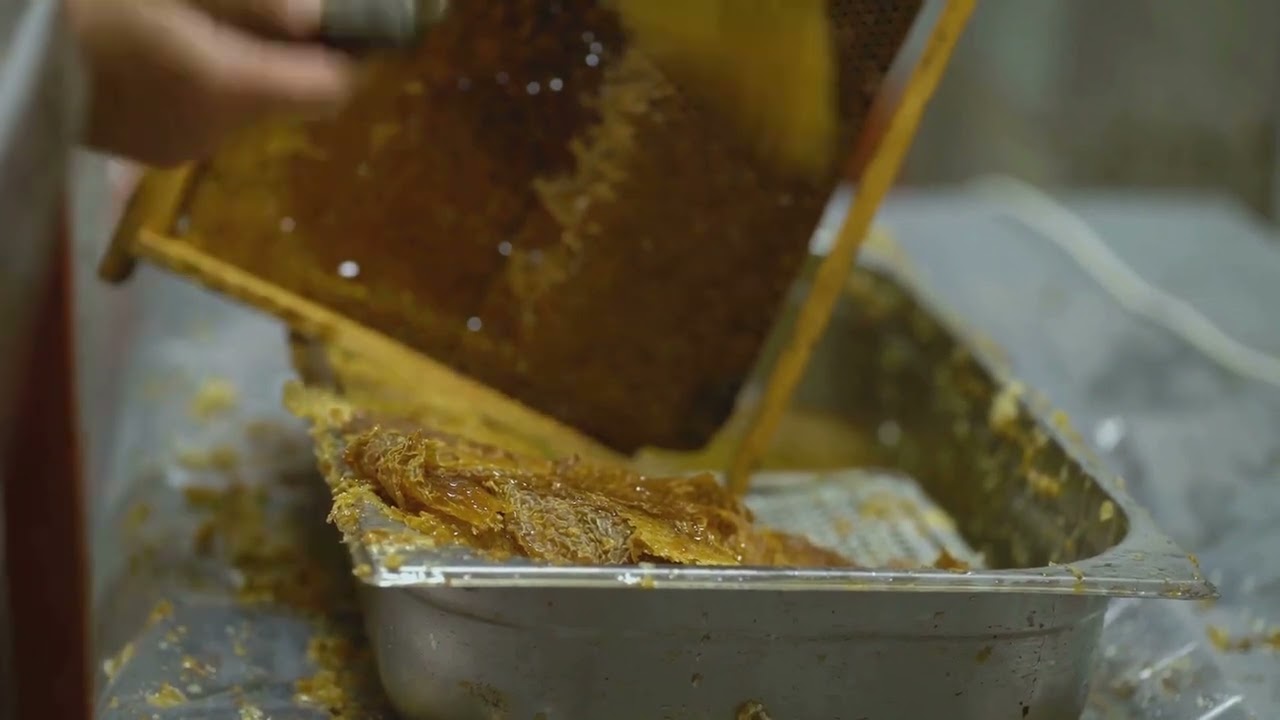 09 BeeNeet Migratory Apiaries and Bee Nutrition