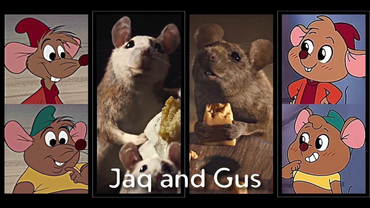 Jaq and Gus Evolution (1950-2023) | Cinderella