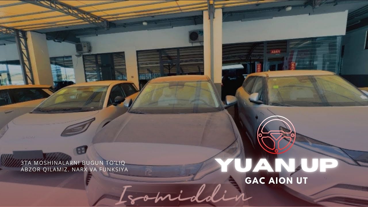BYD Yuan Up SMART va ODDIY | GAC aion UT | 2025