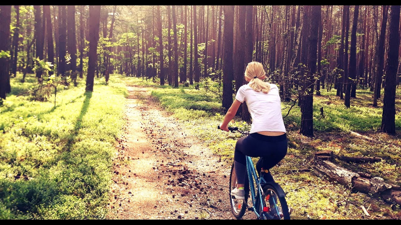 Kampinos National Park. NORTH outskirts WARSAW