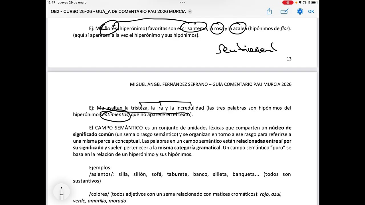 OB2 - COHESIÓN TEXTUAL (PUNTO 6 PAU MURCIA 2026)