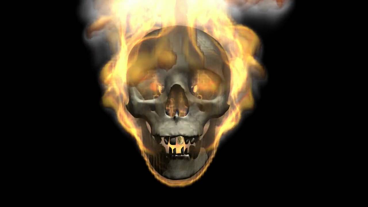 FumeFX Flamingskull Demo