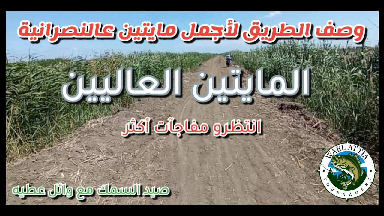 #صيد_السمك من المايتين العاليين أجمل مايتين عالنصرانية