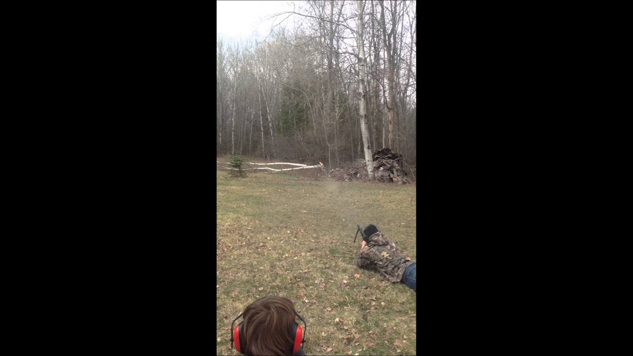 Shooting Down a Tree with an SKS