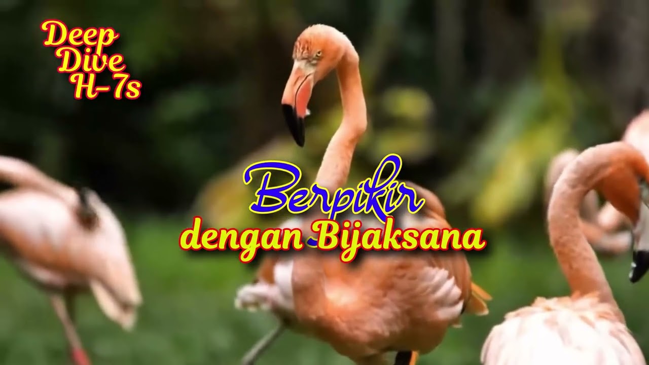 #DeepDive H7s Berpikir dengan Bijaksana