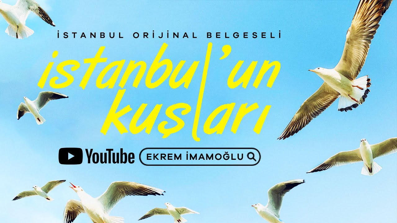 İSTANBUL'UN KUŞLARI - İSTANBUL ORİJİNAL BELGESELİ - EKREM İMAMOĞLU