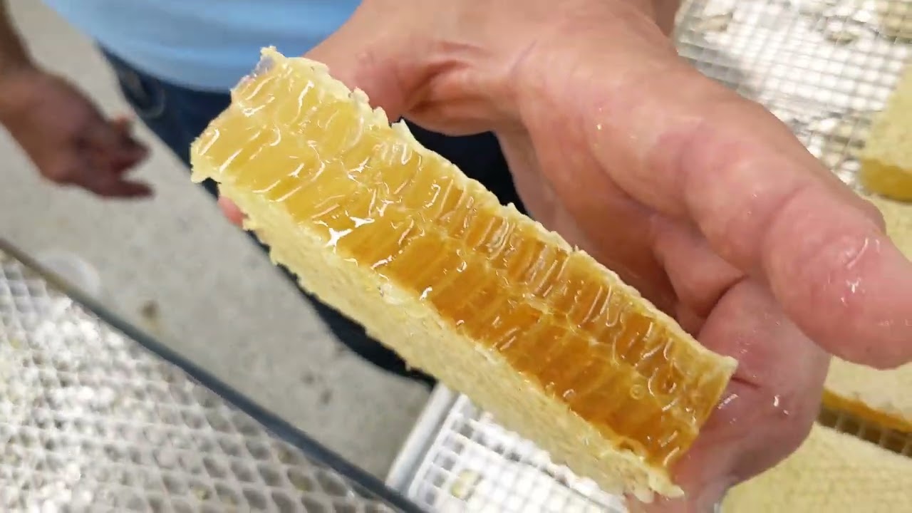 Подготовка Cut Comb с Марком Фиглом