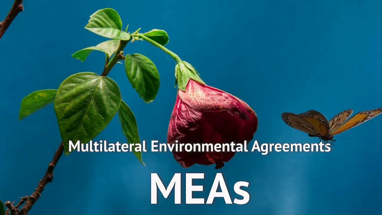 Multilateral Environmental Agreements (MEAs) in Trinidad and Tobago