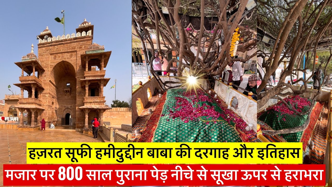 Hazrat Sufi Hamiduddin Baba Dargah | 800 Saal Purana Ped ka karishma | Nagaur Sharif History & Facts