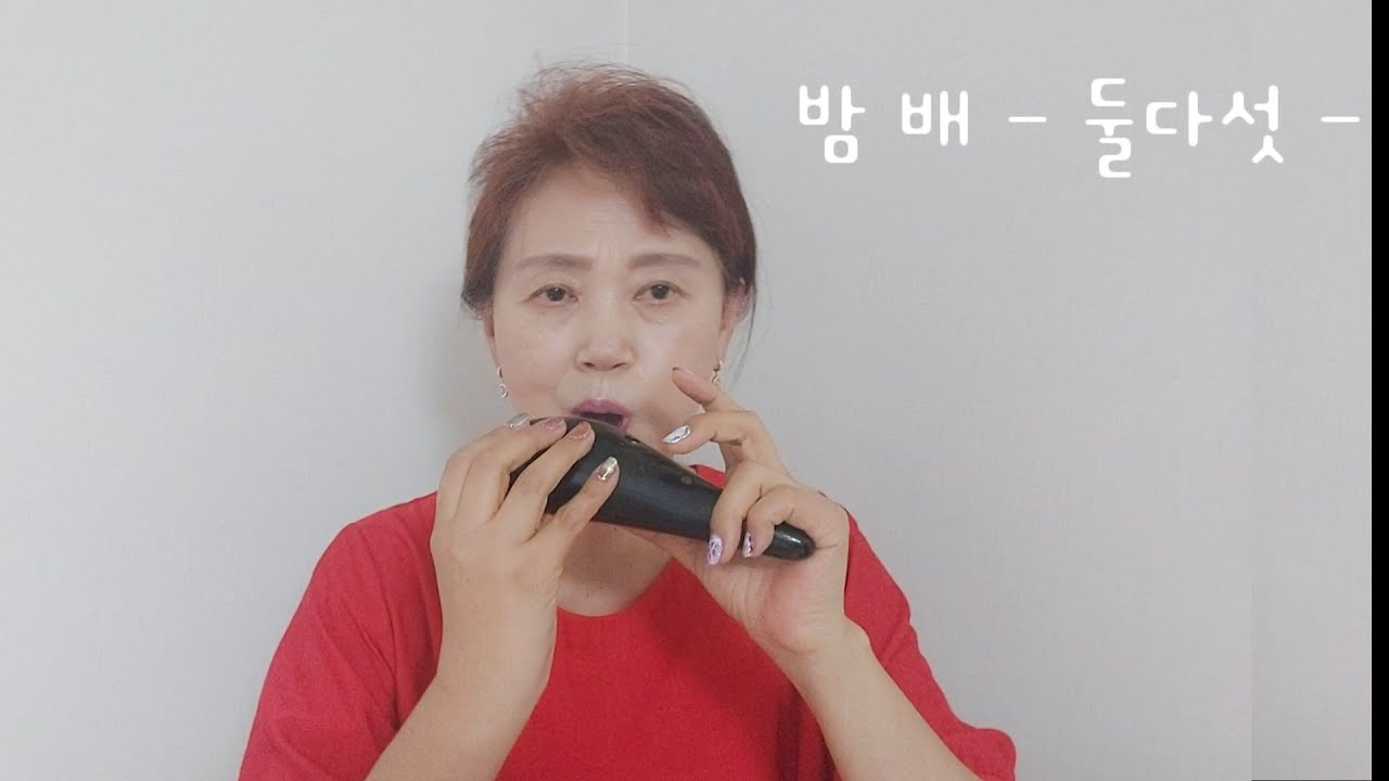 밤 배 -둘다섯- #리프 오카리나# (오카리나 윤정희) ocarina by Yoon  가사 첨부