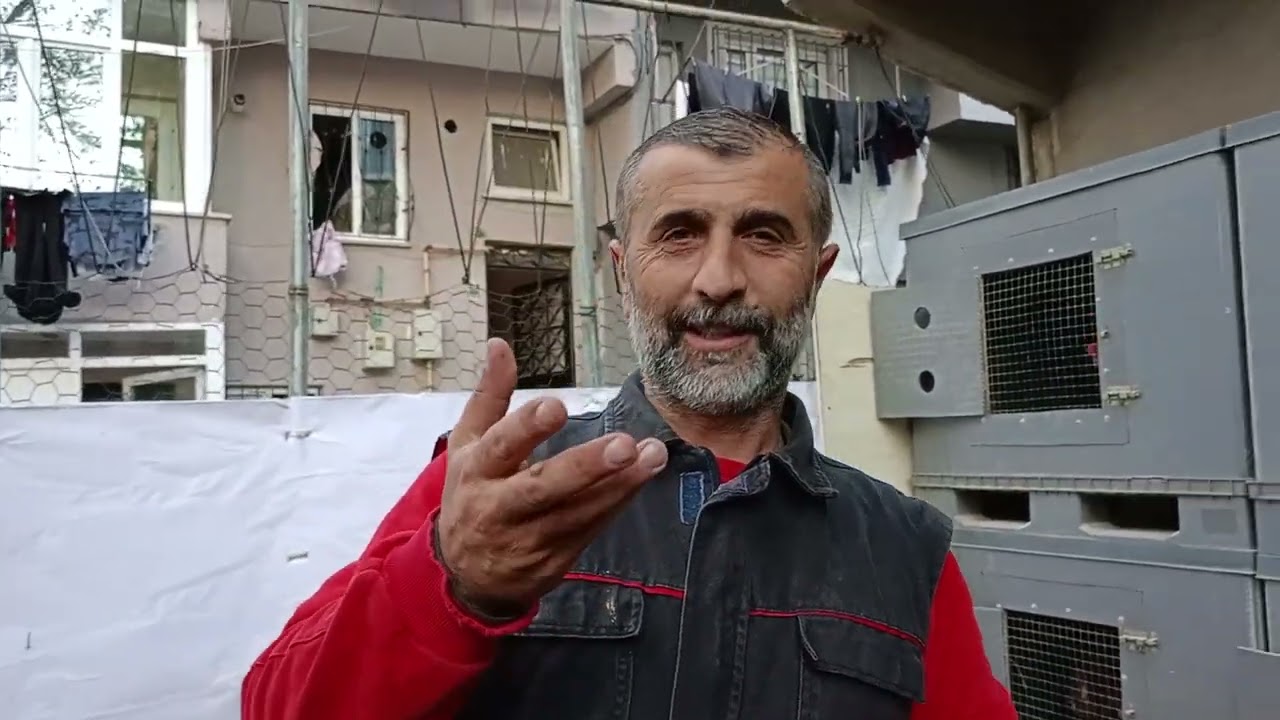 HANGİ AKRABA EŞLEMESİ KALİTELİ OLUR. (Açıklamayı okuyun.)