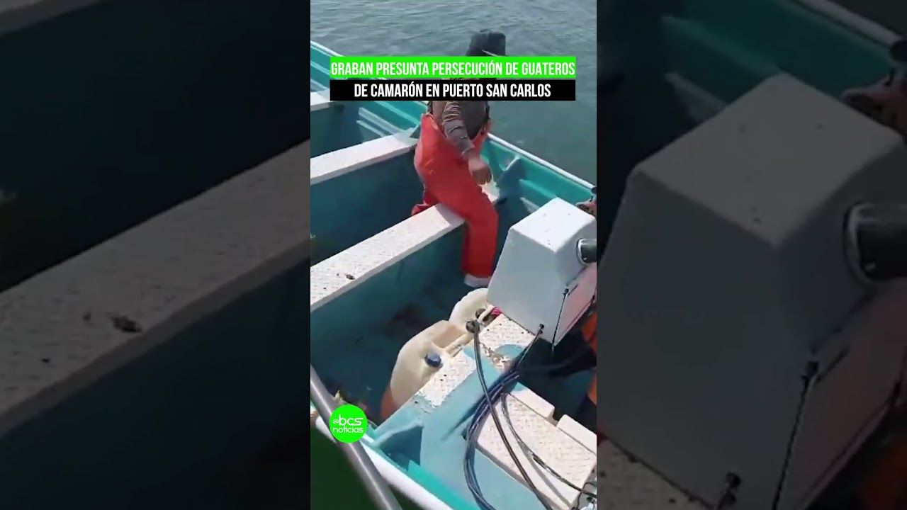 Graban presunta persecución de guateros de camarón, en puerto San Carlos