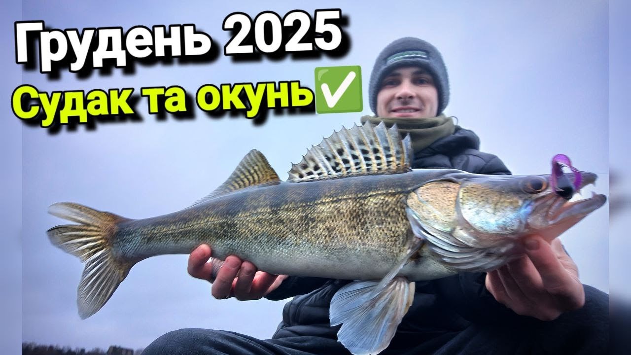 Знайшов Чарівну ЯМУ💥 Принцип Ловлі Судака по Холодні Воді.✅
