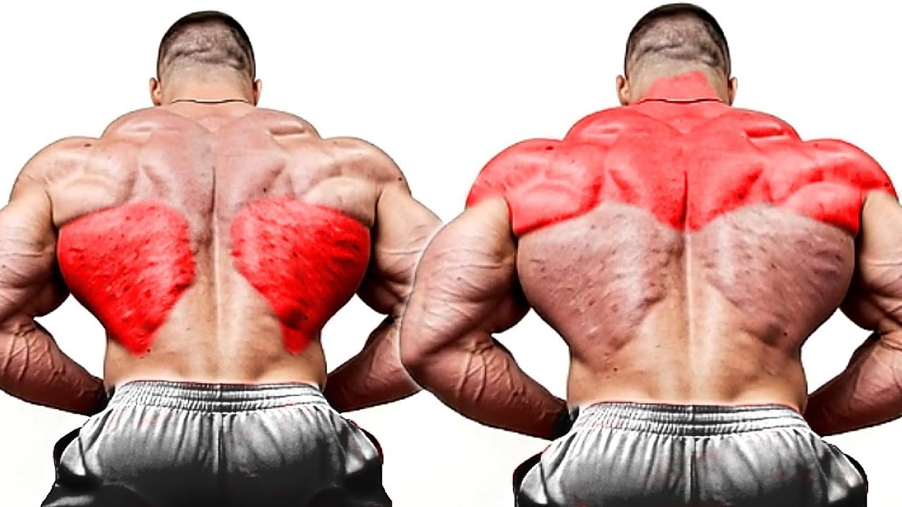Pro Back Exercises to Build 3D Insane Back for All Muscles 