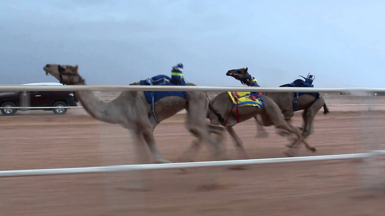 الدوحة للسيد سليمان بن صالح المغيري