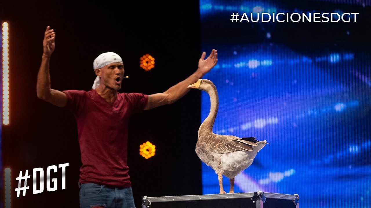 Juan y su ¨patico hembra¨ Lola demuestran su talento | Dominicana’s Got Talent 2019