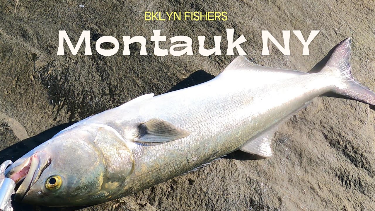 FISHING THE VERY END of Long Island NY | Montauk w/big plugs!