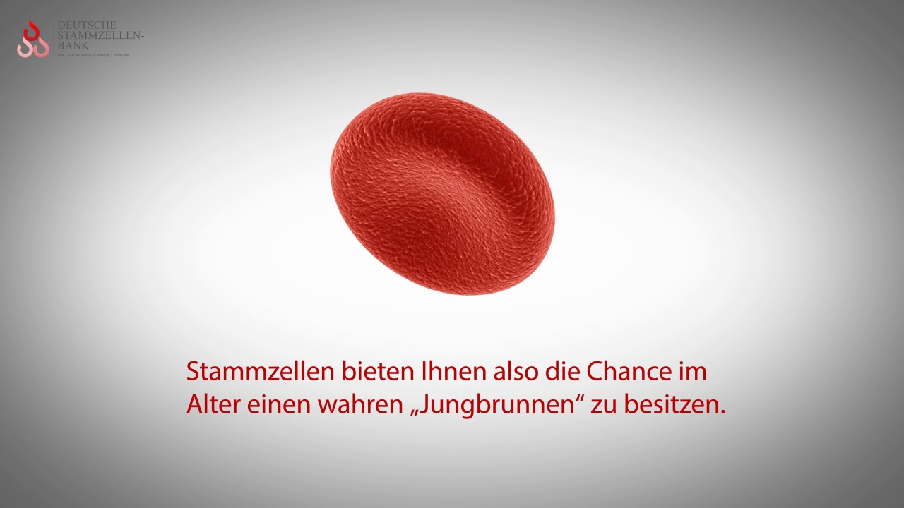 Was sind Stammzellen? Wozu eine Stammzelleneinlagerung?