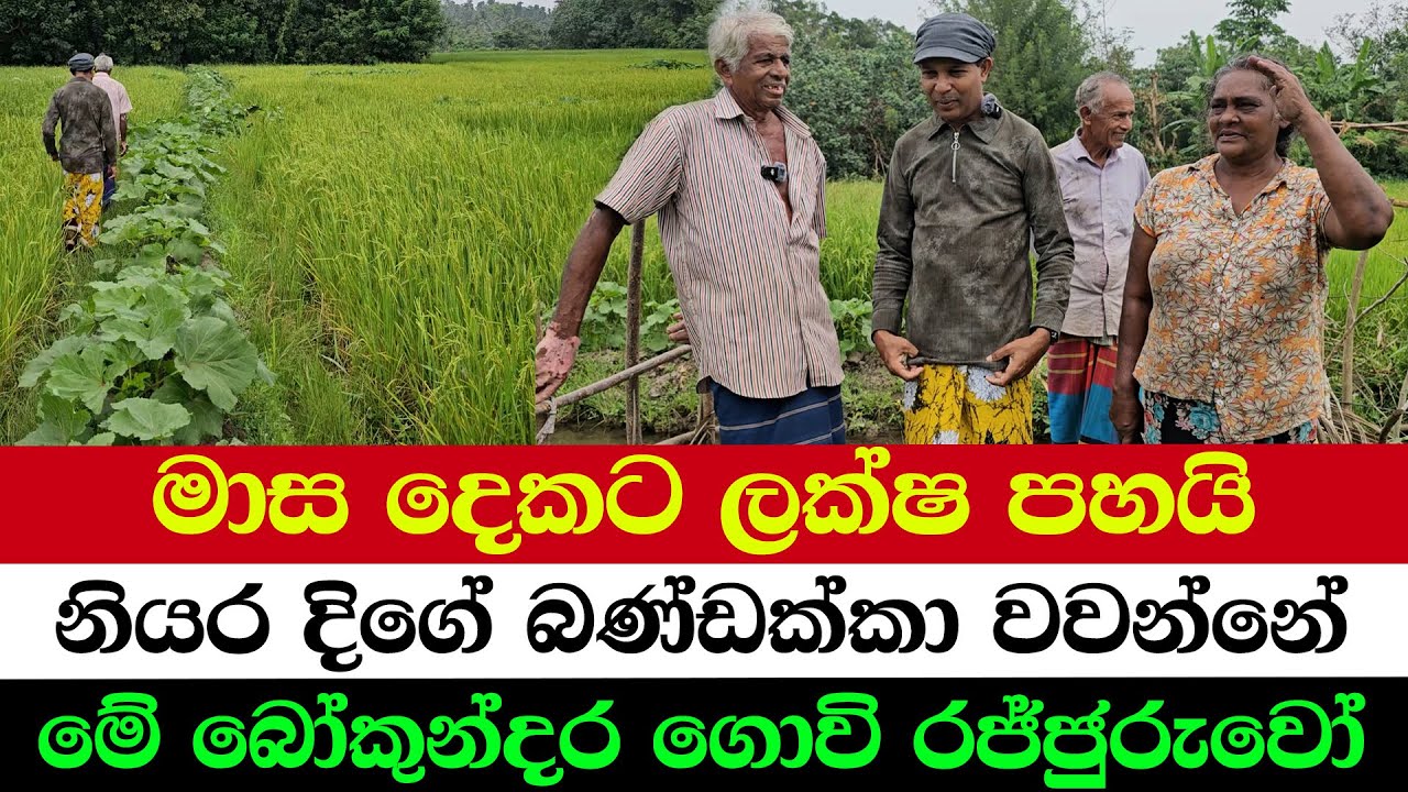 How This Farmer Makes 500,000 in 2 Months