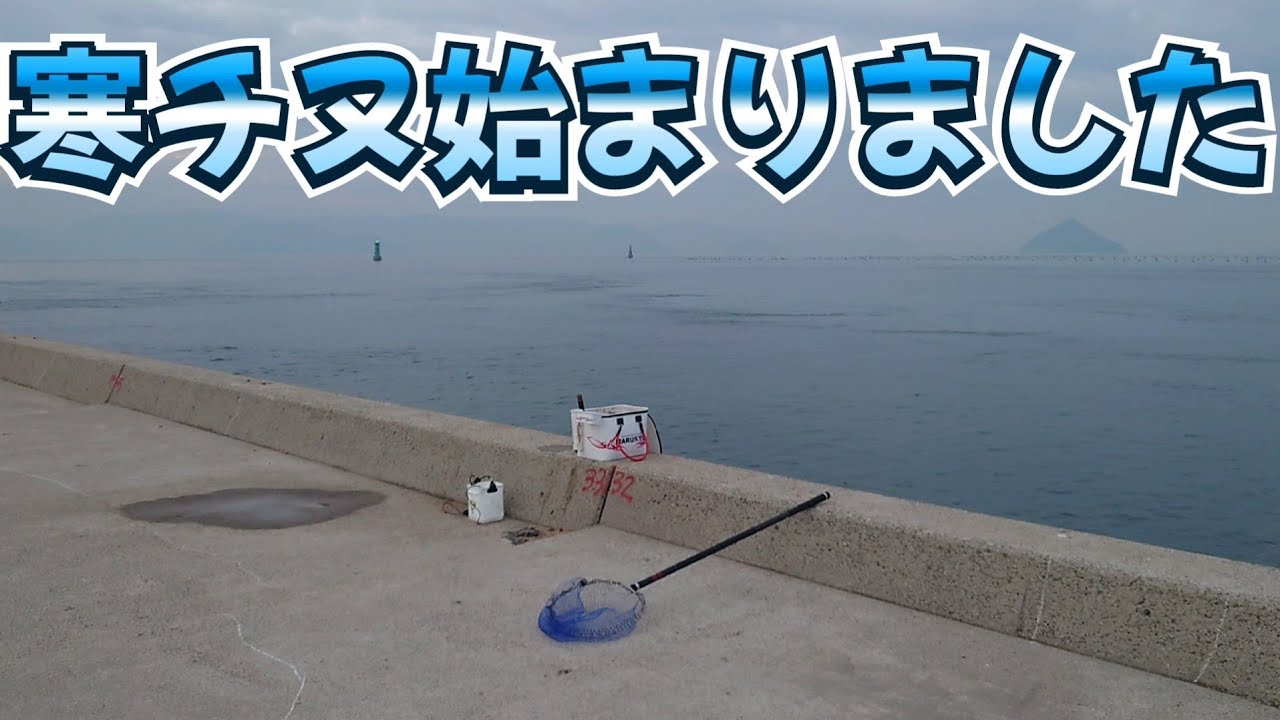 いつもの波止で寒チヌ釣り‼️やっぱりこの波止は裏切らない‼️
