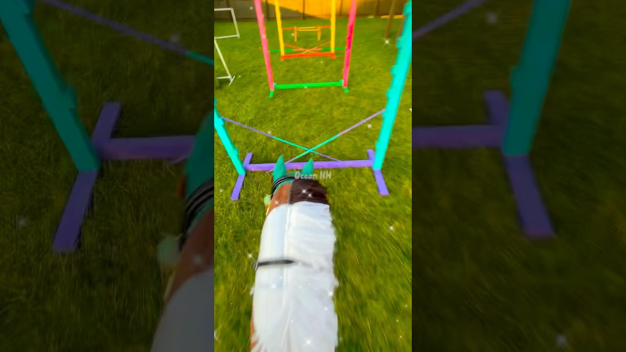 Training vlog!💚🫶 #hobbyhorse