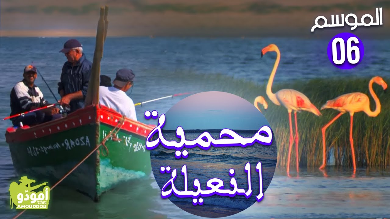 AmouddouTV 084 La reserve Naila محمية النعيلة