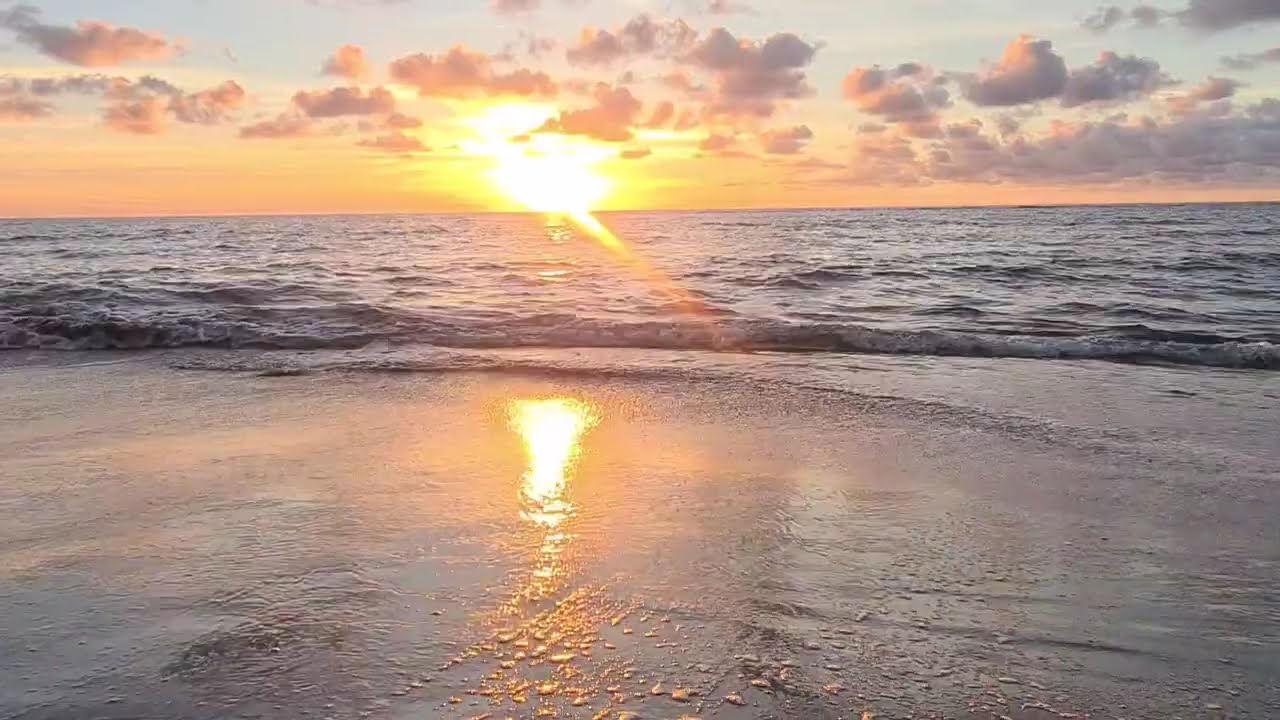 Beautiful Sunset At The Beach🌅 #beach #sunset #sea #asmr #video #viral #fyp #amazing 