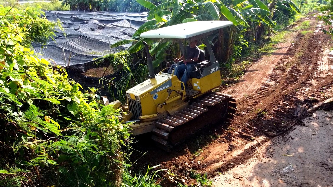 Best Starting New Project!!! Repairing Road Flood By Driver D20P Komat'su Dozer Pushing Grass, Trash
