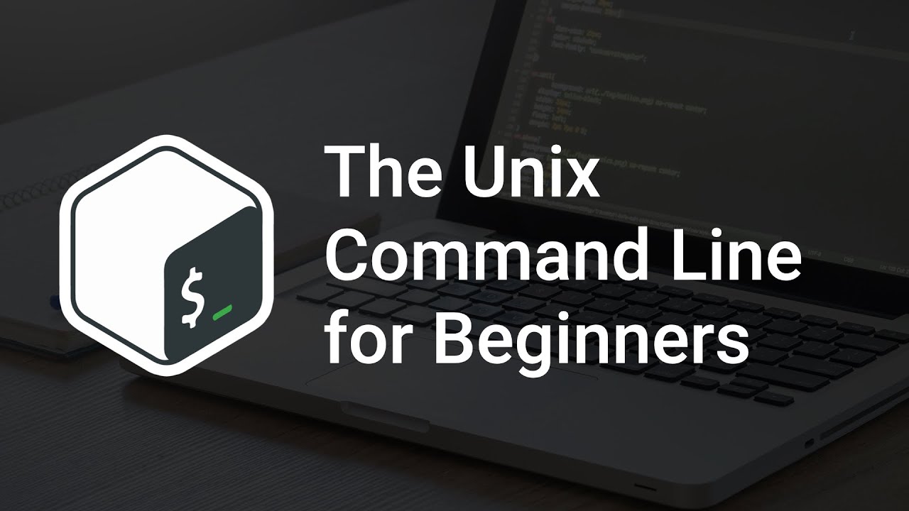 Bash for Beginners | The Command History