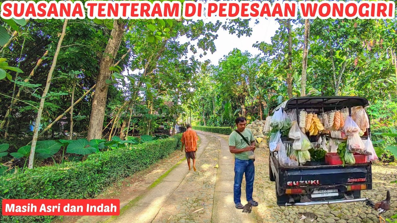 Damai dan Tenteram ‼️ Indahnya suasana Pagi hari di Pedesaan Wonogiri