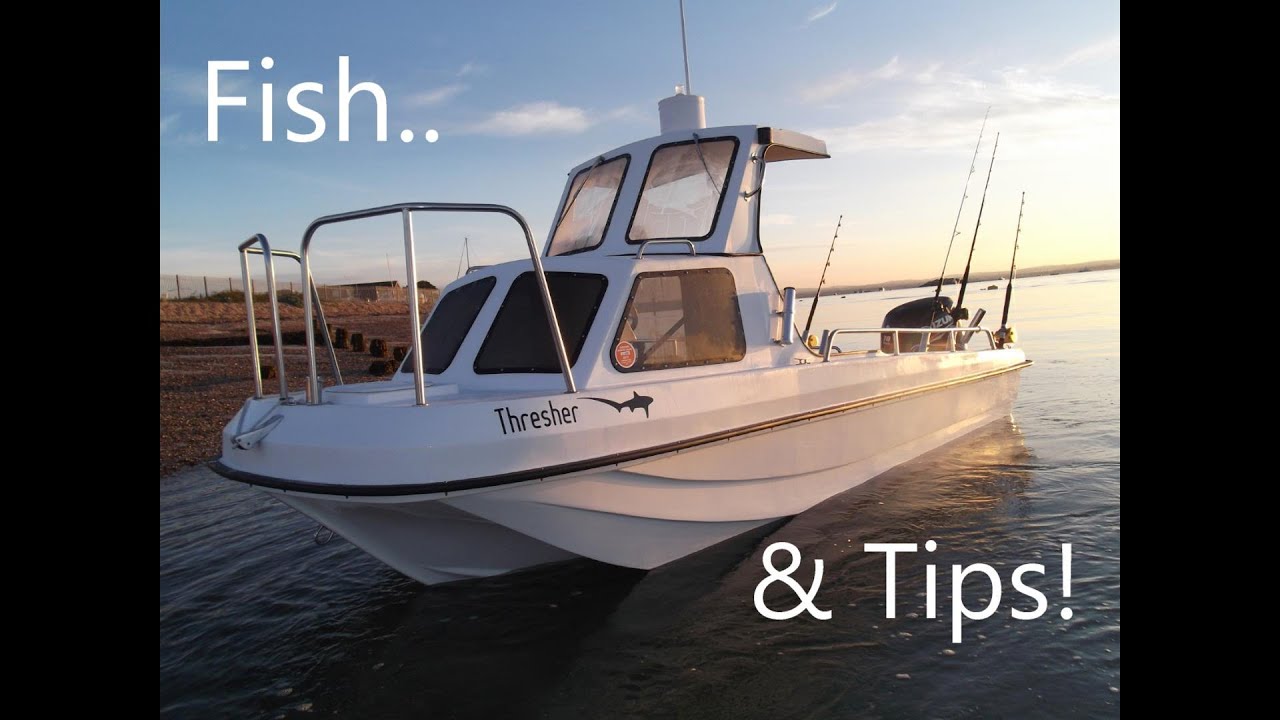 Fish & Tips!