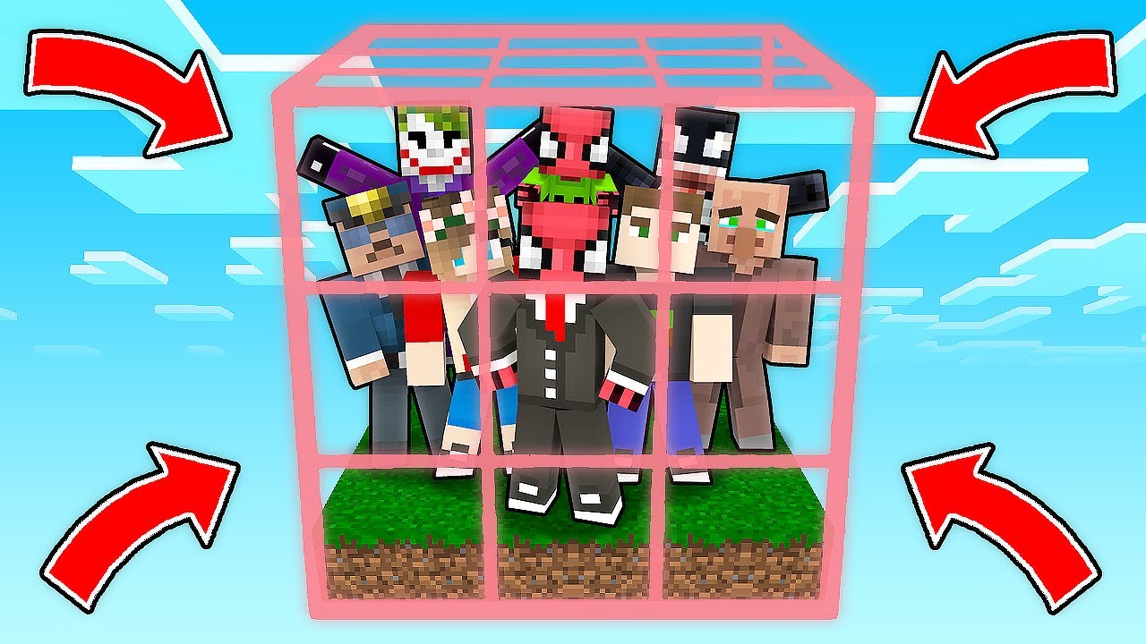 HERKES TEK BİR KUTUDA 📦 - Minecraft