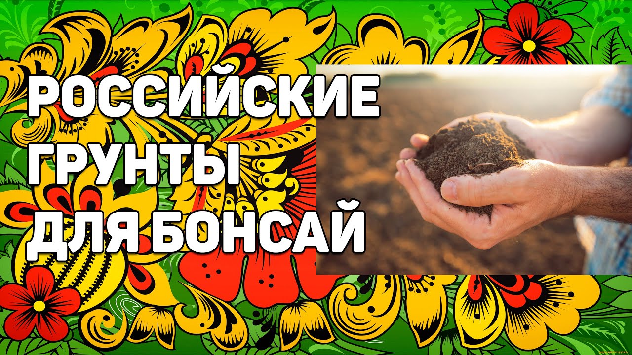 Российские грунты для бонсай @Studio.Bonsai #garden #bonsai #бонсай #plant