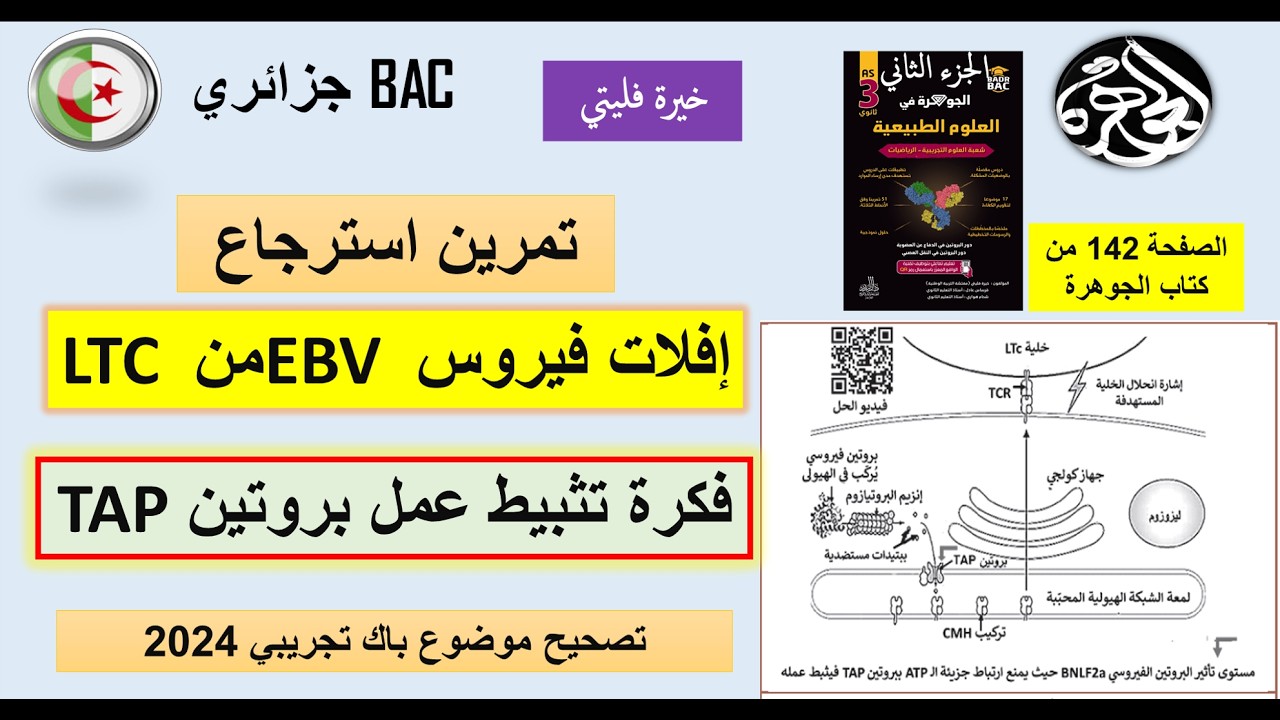 علوم طبيعية تمرين استرجاع  افلات فيروس EBV من LTC باك تجريبي 2024عين الدفلى