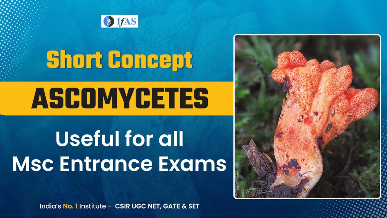 Short Concept - Ascomycetes - Useful for all Msc Entrance Exams