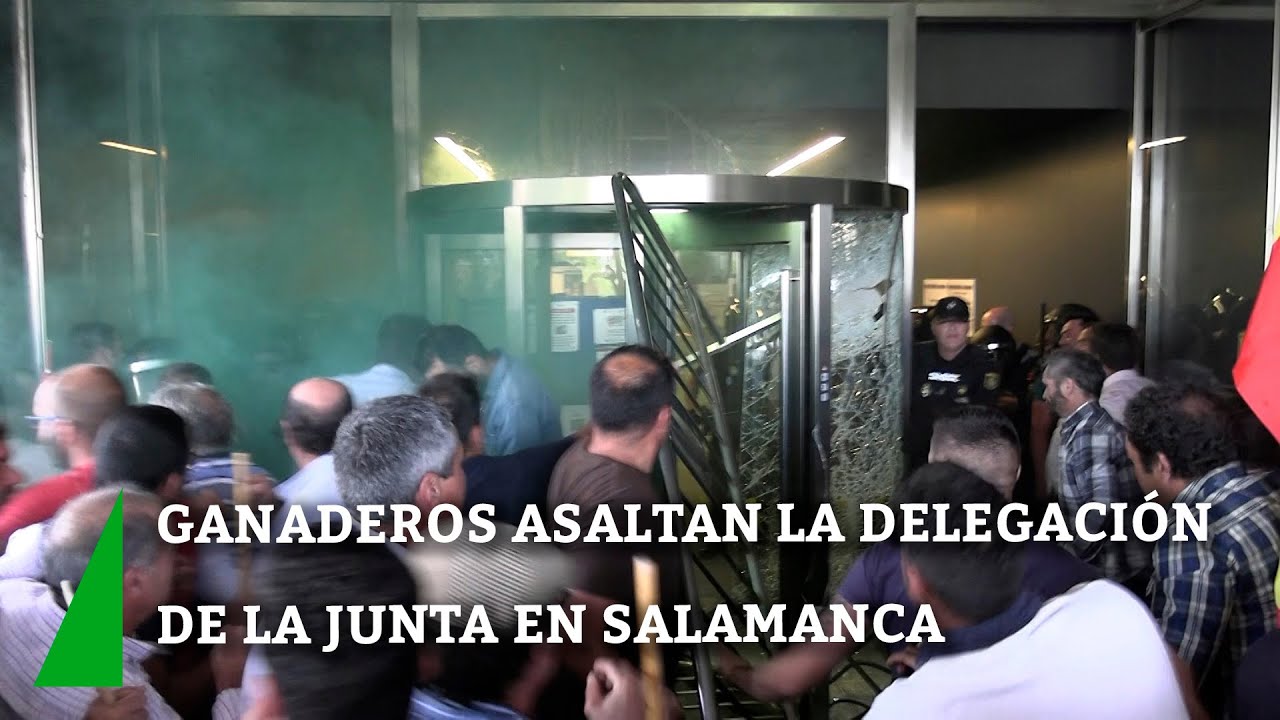Decenas de ganaderos asaltan la Delegación de la Junta en Salamanca