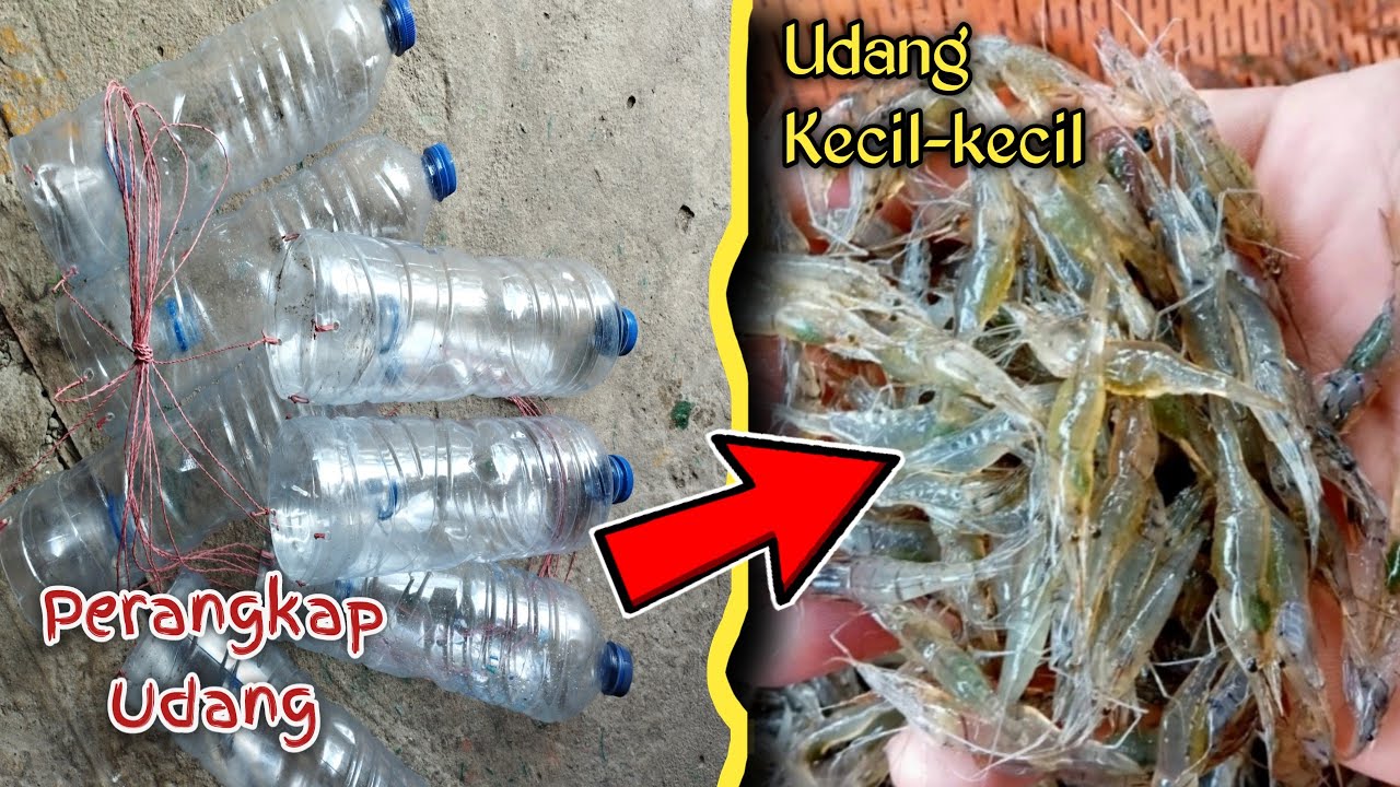 Как сделать маленькую ловушку для креветок/ловушки для креветок