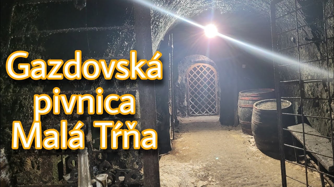Tour and Wine Tasting in Tokaj, Slovakia