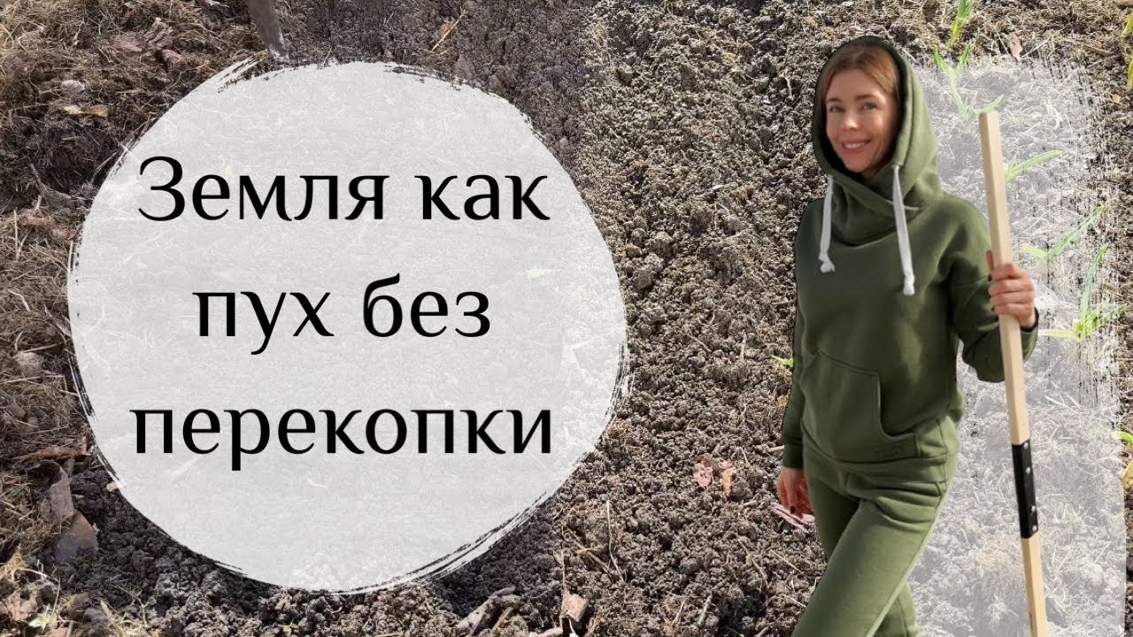 Рыхлая, плодородная земля без перекопки. Сею морковь в некопанную грядку