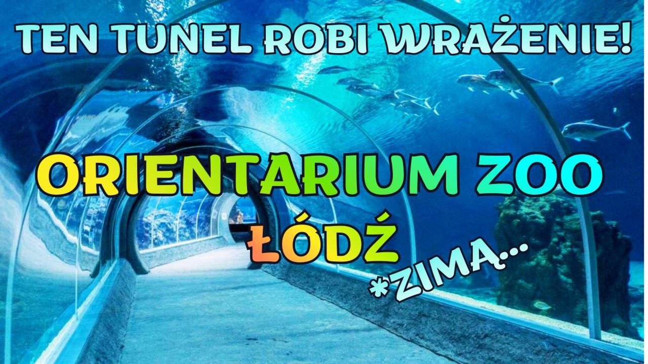 🐘ORIENTARIUM ZOO ŁÓDŹ ZIMĄ❄️ – Czy warto? Sprawdzamy ofertę biletów 2+2! #zoo #łódź #vlog
