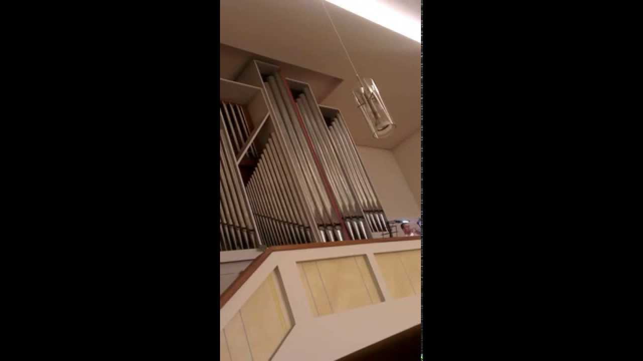 kirxa-organ1