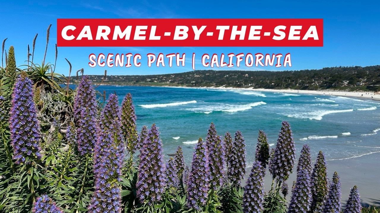 Carmel-by-the-Sea Scenic Path Walk 🌊 Ocean Shore & Cypress Trees | 4K Walking Tour California