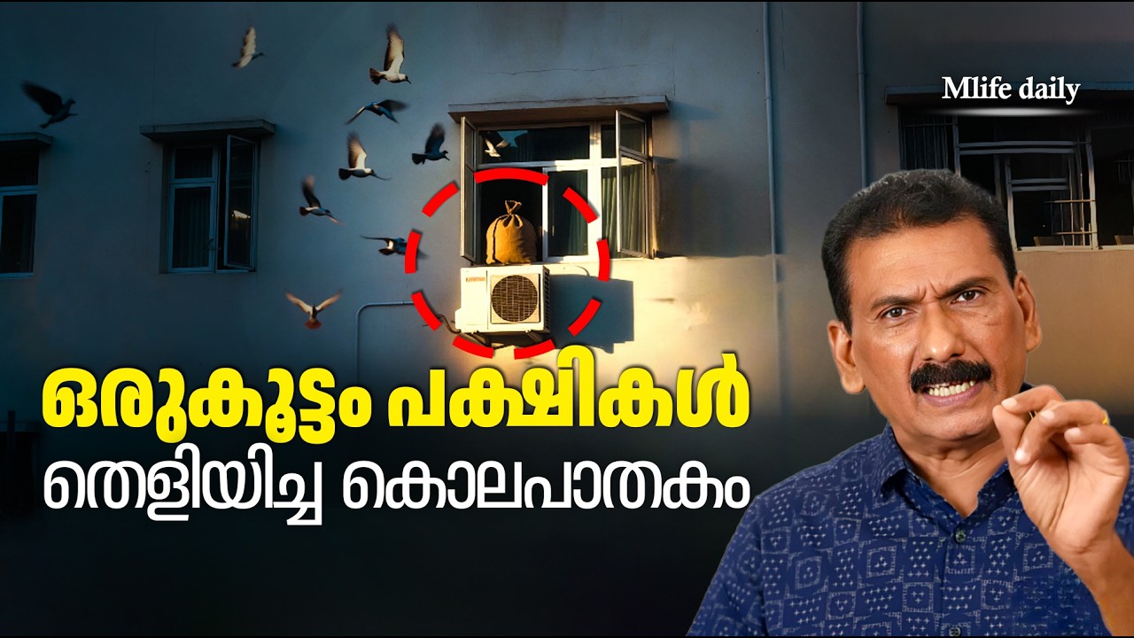 വെബ് സീരീസിൽ കാണുന്നതുപോലെ ഒരാളെ കൊന്നു നോക്കിയാലോ ? |BS CHANDRA MOHAN |MLIFE DAILY